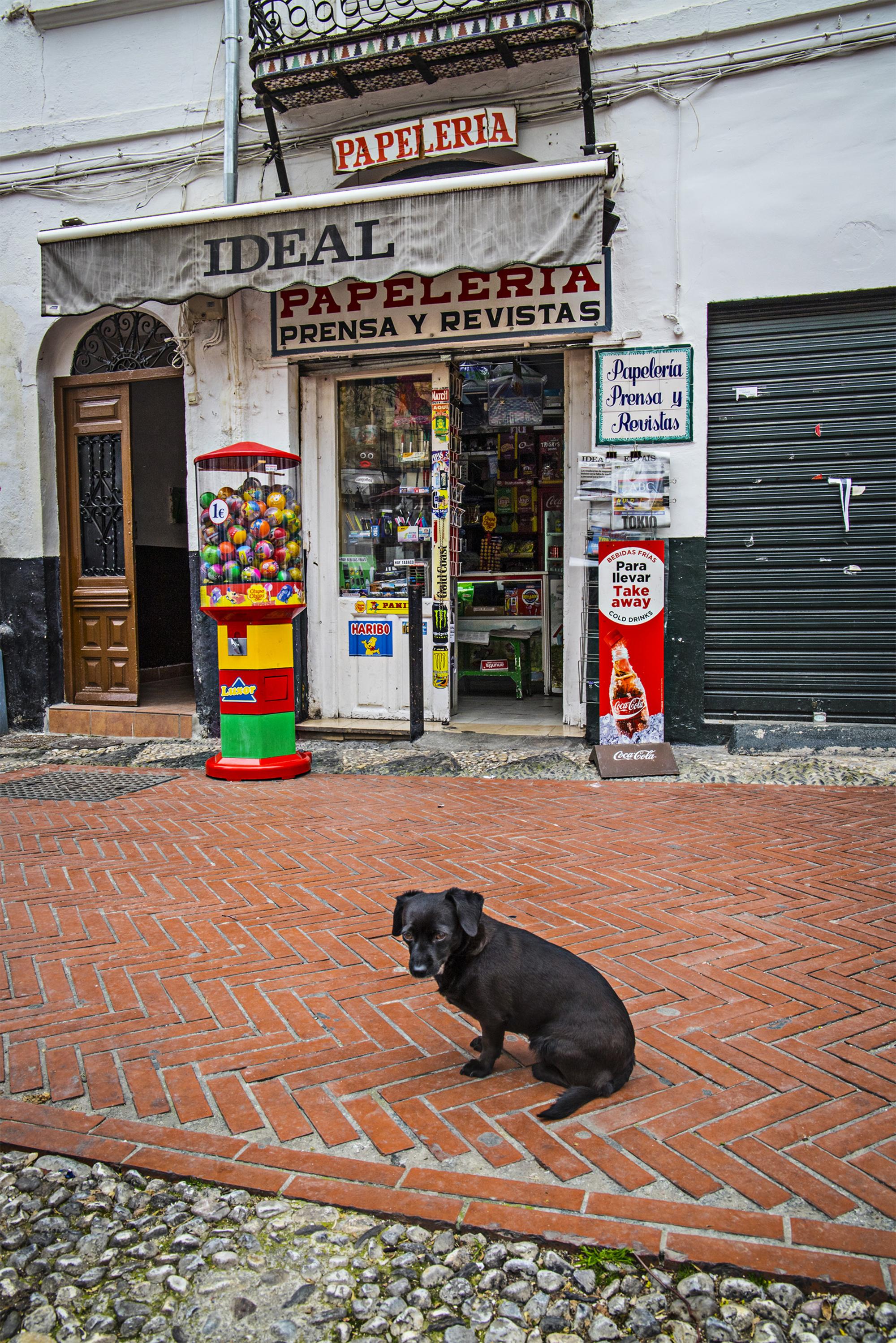 Albaycín en cuarentena - 1